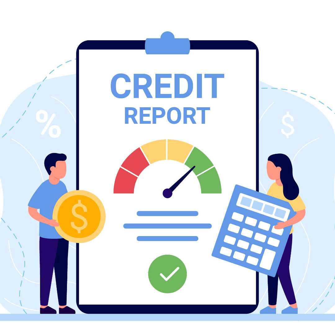 Commercial Credit Information Report