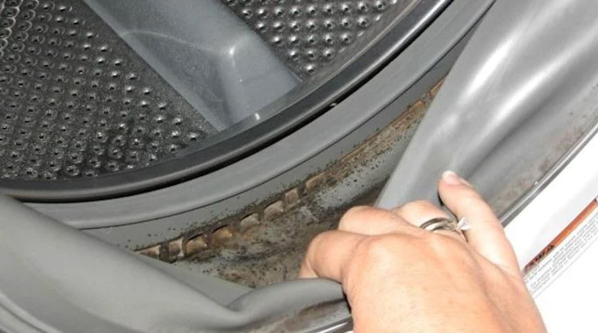 How To Remove Mold From The Rubber Seal On A Washing Machine