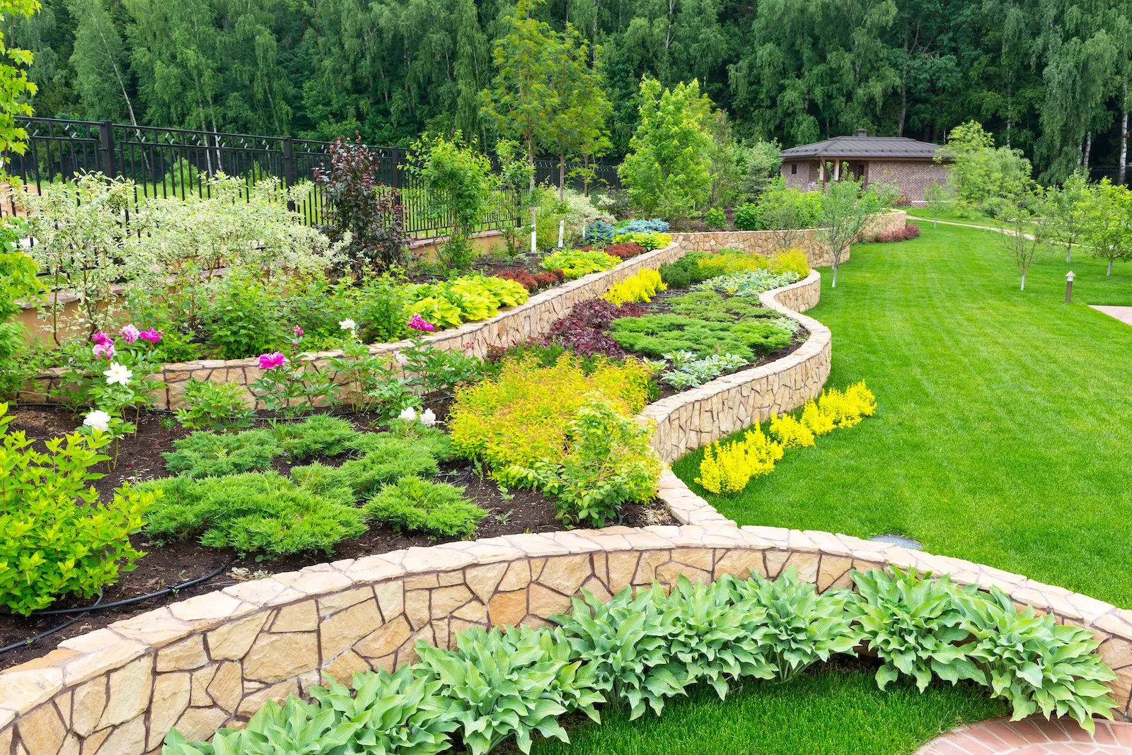 Landscaping Contractor in Westminster LA