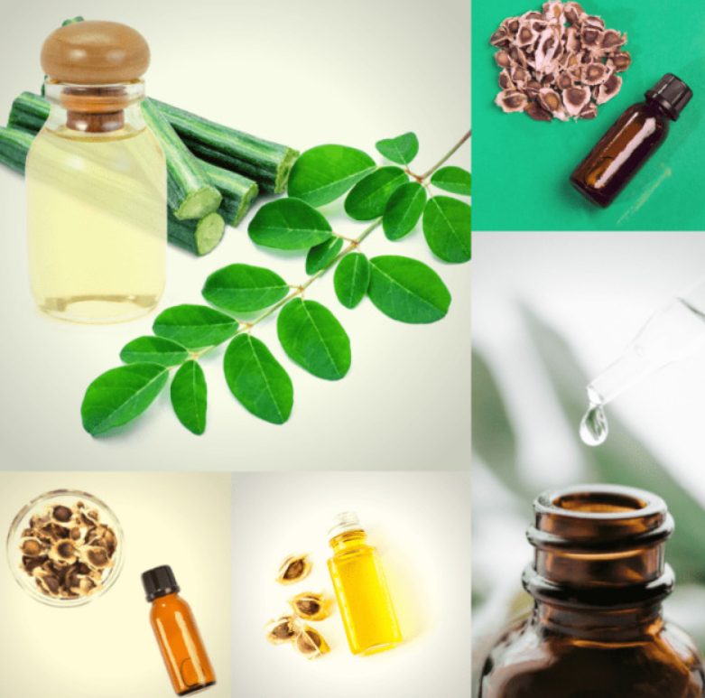 moringa oil bulk