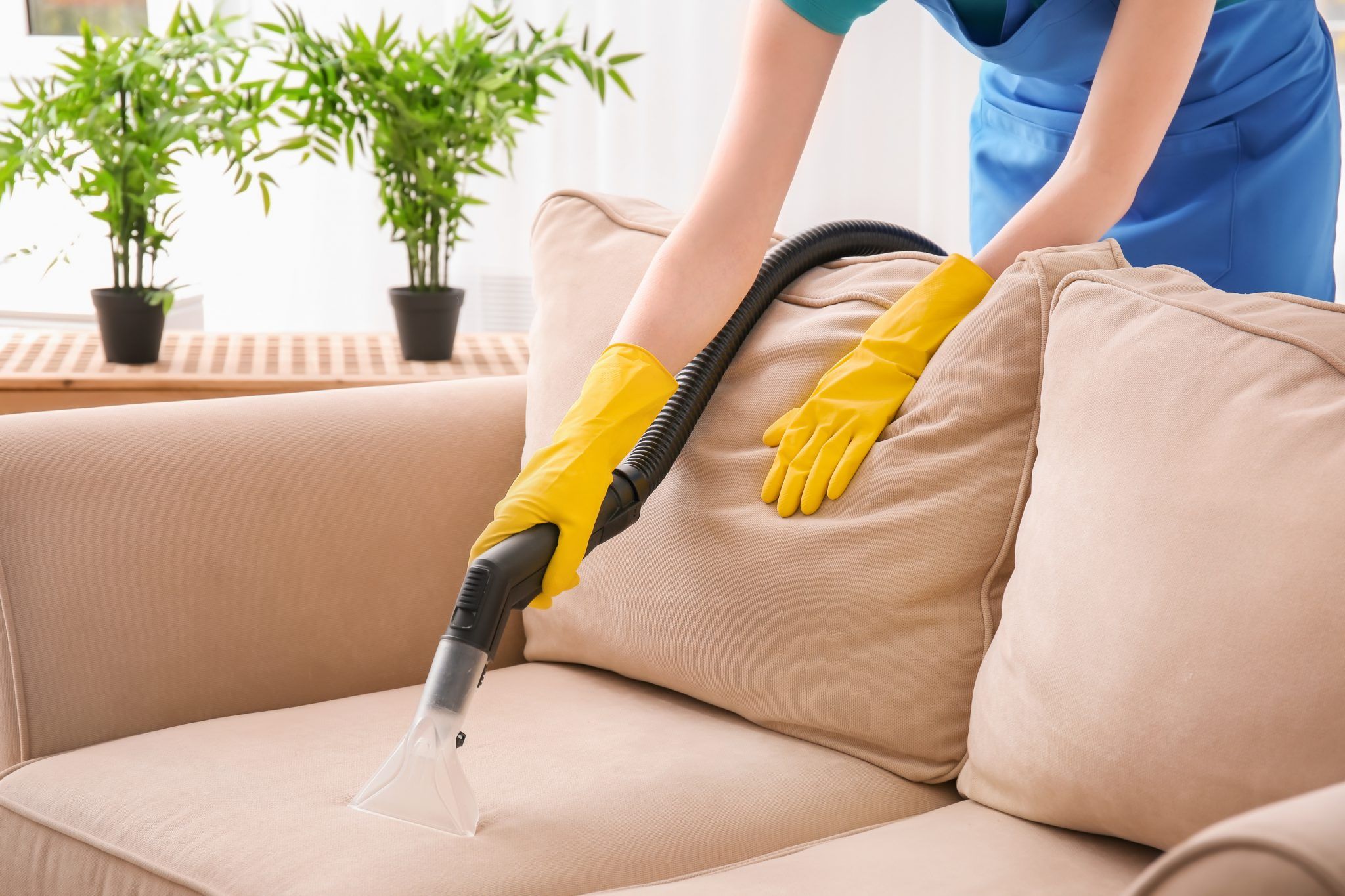 Upholstery Cleaning Fort Lauderdale