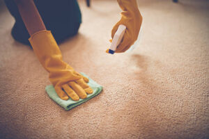 Carpet Cleaning Brooklyn