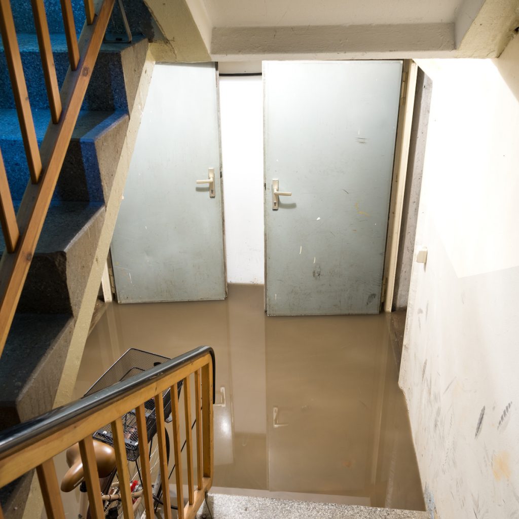 water damage repair companies in Jacksonville, FL