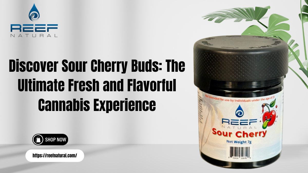 Sour Cherry Buds