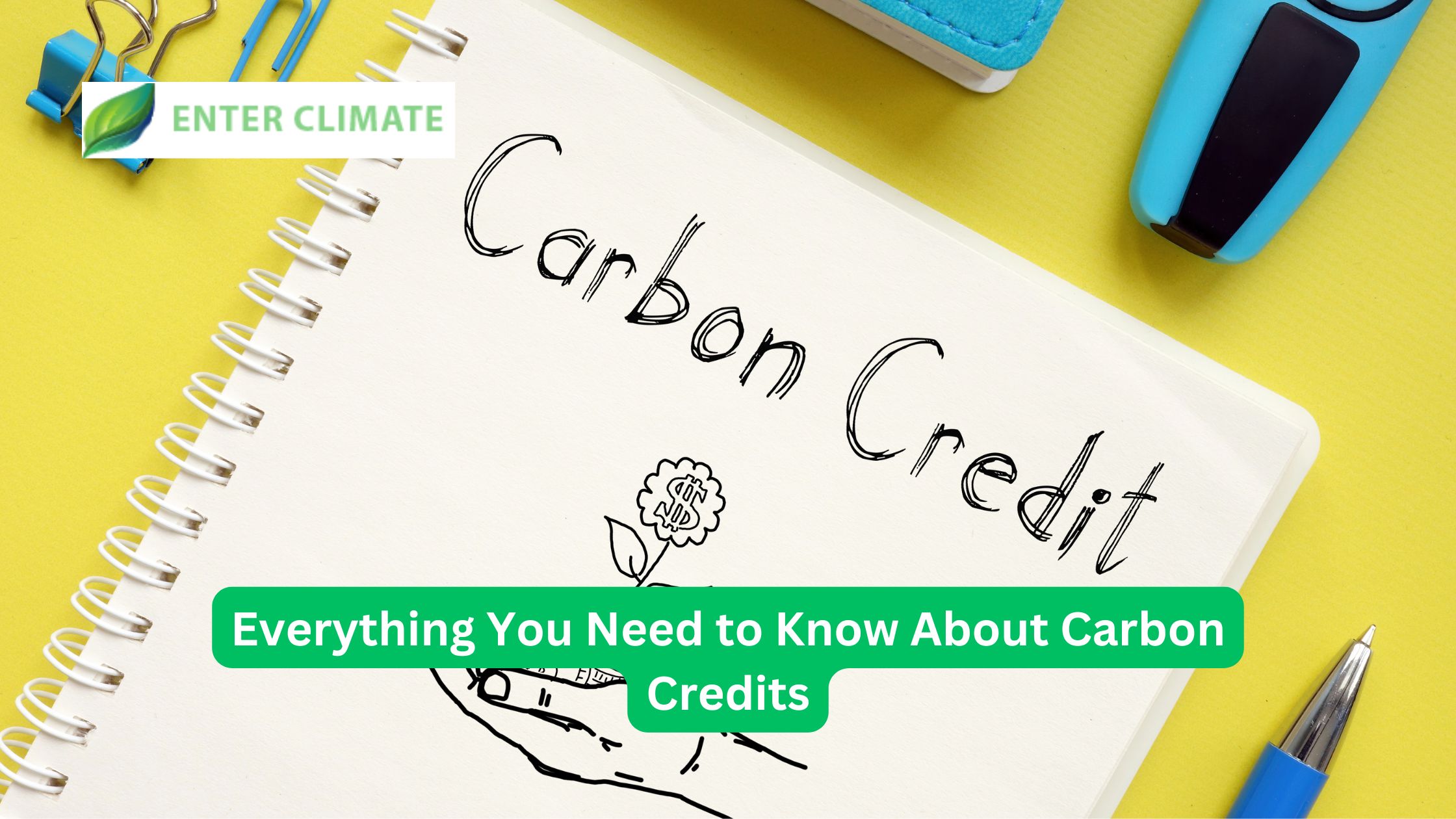 Everything You Need to Know About Carbon Credits