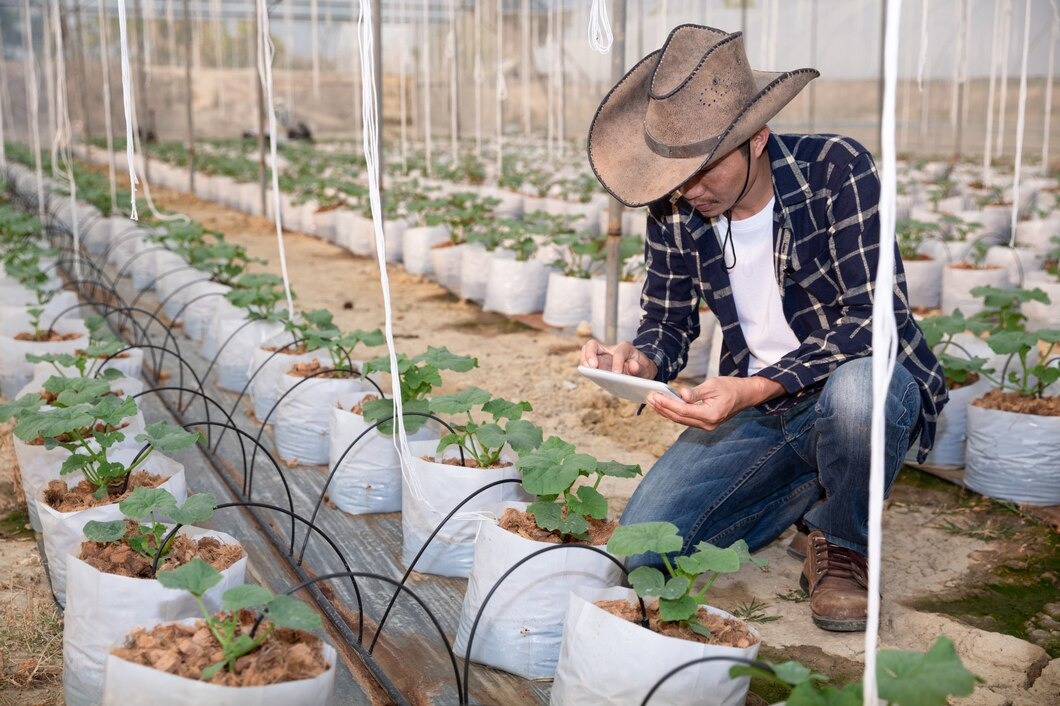 diy irrigation system