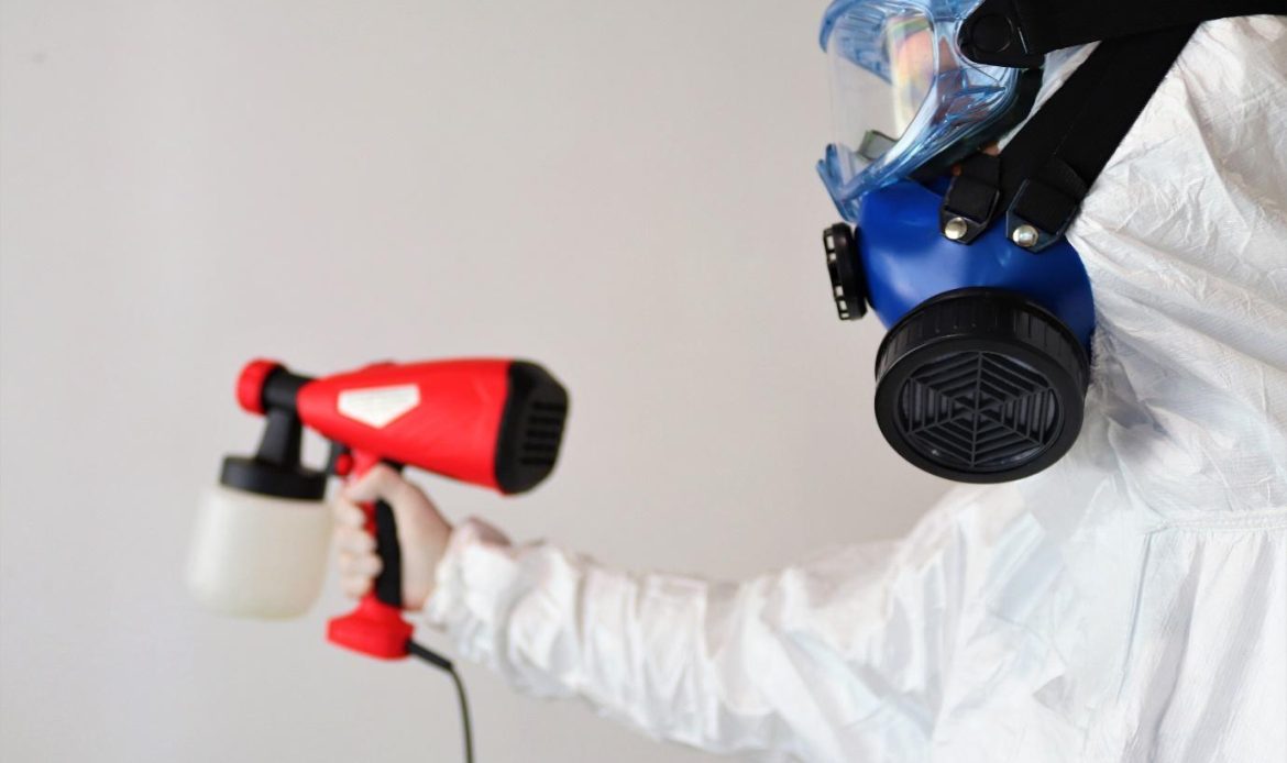 Mold removal service